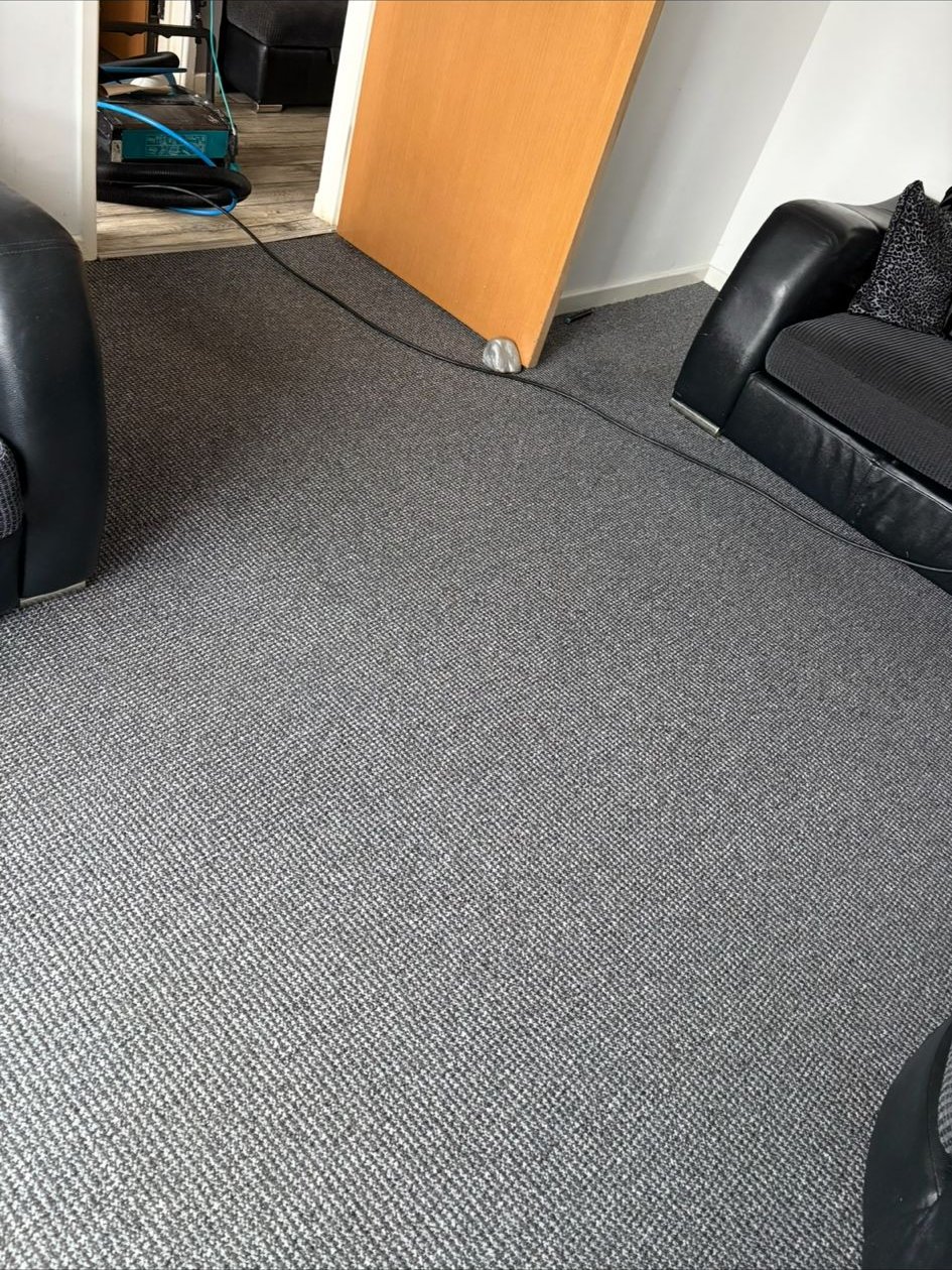 Professional carpet cleaning with equipment