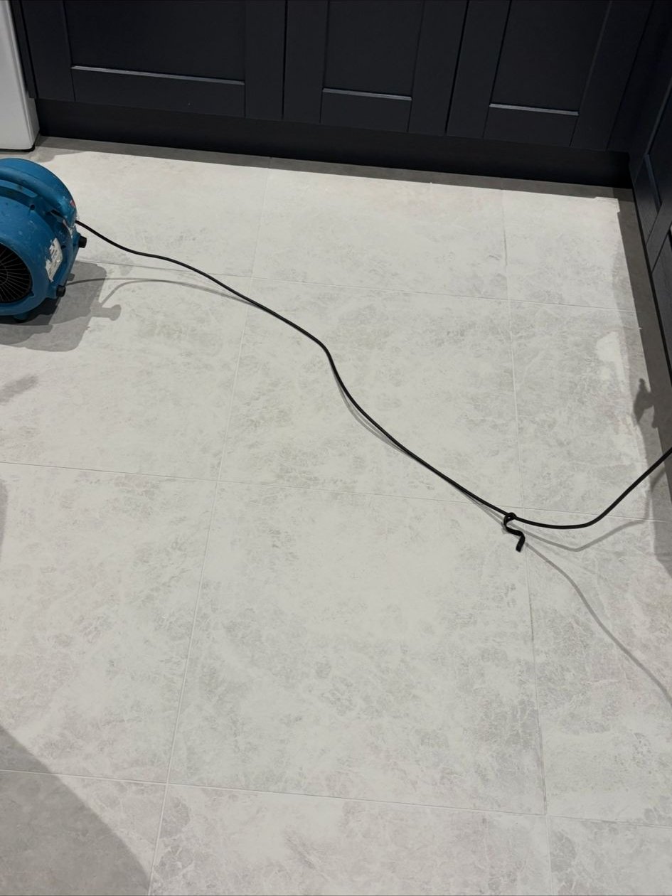 Hallway carpet deep cleaned