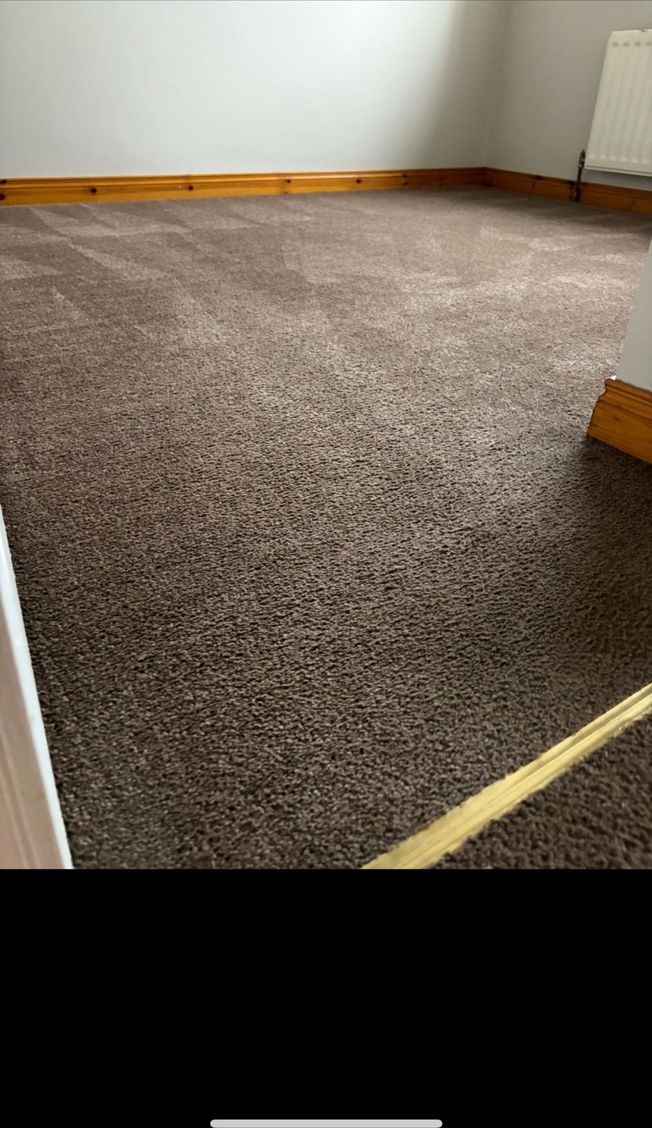 Another room carpet cleaning result