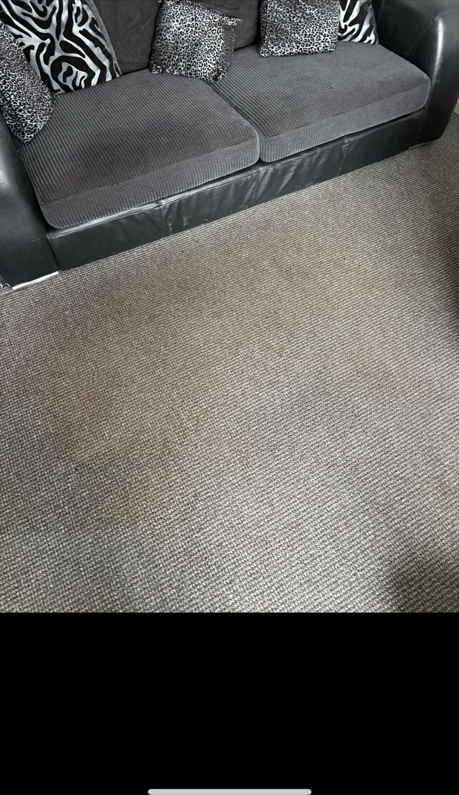 Carpet cleaned in front of sofa